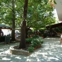 camping-sikia-volos-cufav