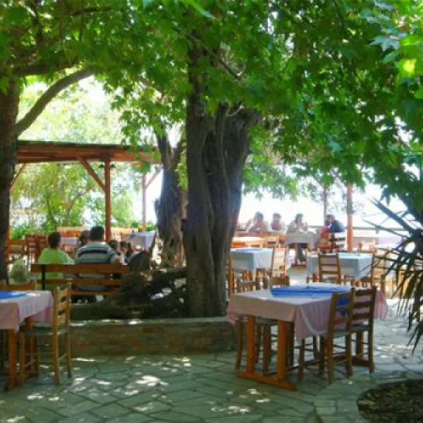 camping-sikia-volos-rhycg