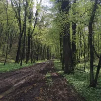 les-boucles-de-la-moselle-camping-metz-nancy-liverdun-x53rz