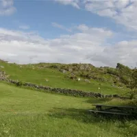 skogtun-fjell-vswsf