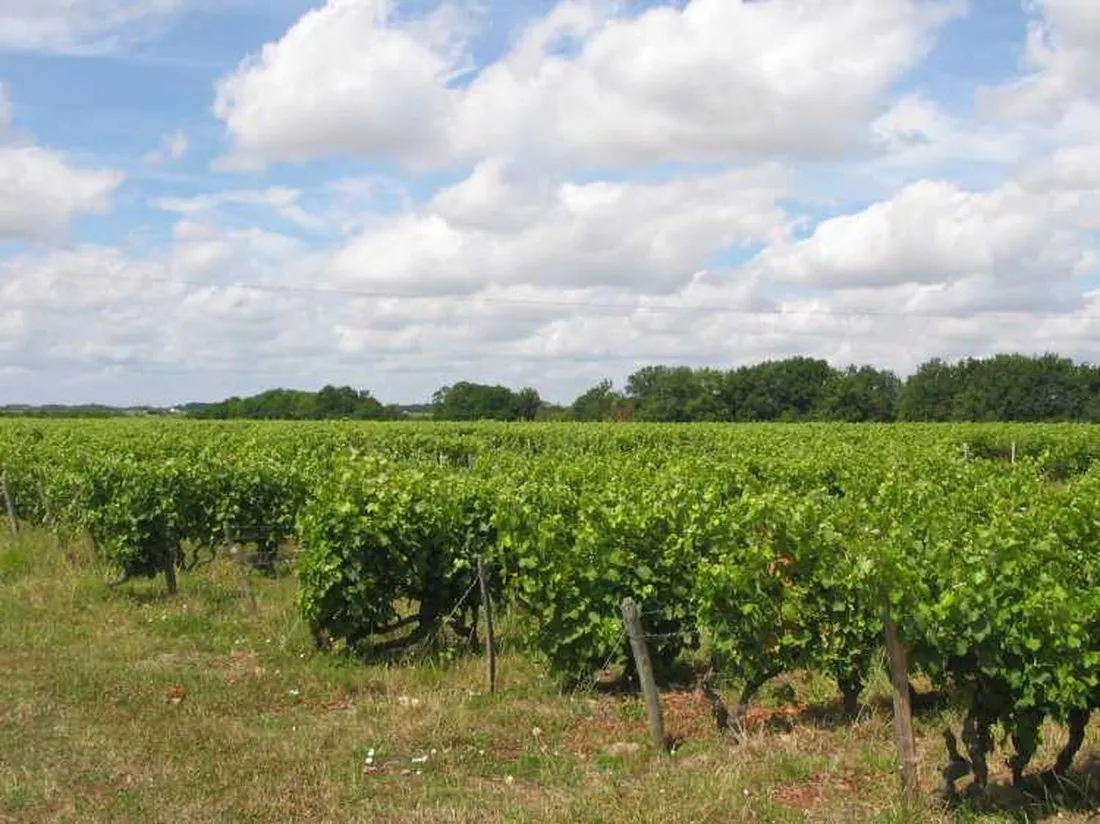camping-municipal-le-bec-de-cisse-vouvray-7atlm