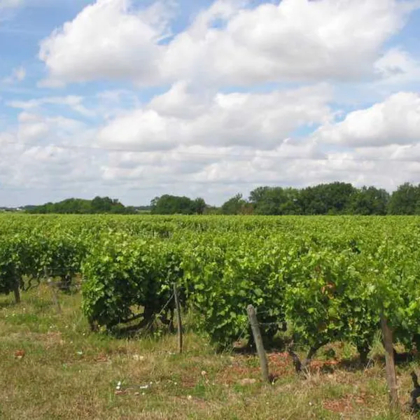 camping-municipal-le-bec-de-cisse-vouvray-7atlm