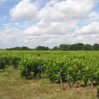 camping-municipal-le-bec-de-cisse-vouvray-7atlm