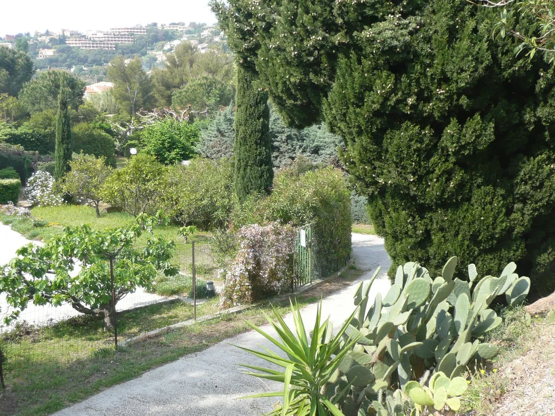 saint-clair-le-lavandou-var-y6zwi