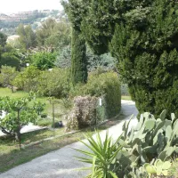 saint-clair-le-lavandou-var-y6zwi