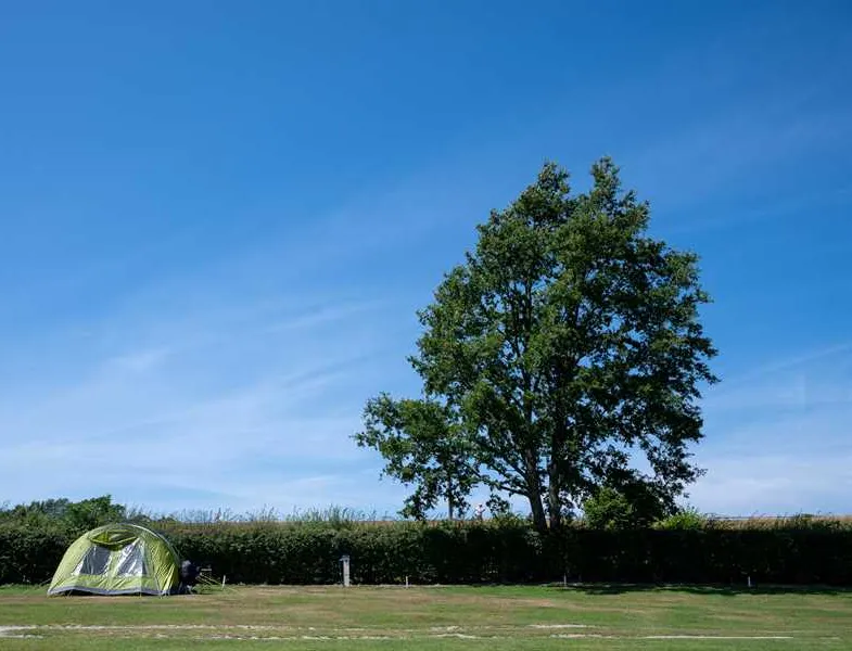 camping-and-caravanning-club-site-crowborough-crowborough-bzozi