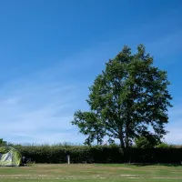 camping-and-caravanning-club-site-crowborough-crowborough-bzozi