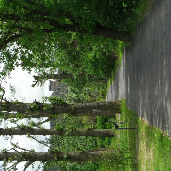canoeuml-gorges-du-tarn-riviere-sur-tarn-edxhi