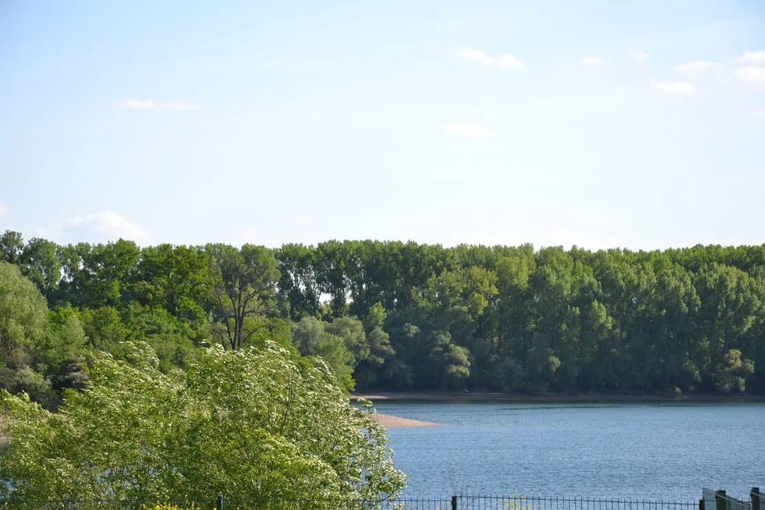 inselcamping-kollersee-bruhl-npwha