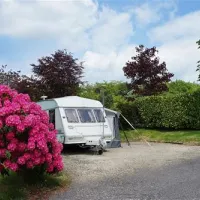 lickpenny-caravan-park-tansley-8eaqv