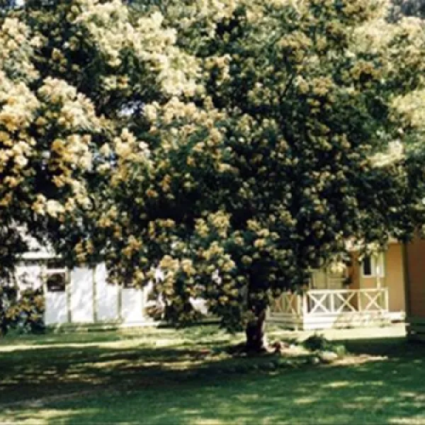 Camping Marina Di Sorbo