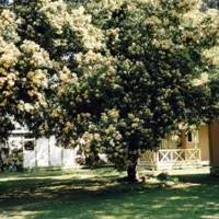 camping-marina-di-sorbo-sorbo-ocagnano-zildy