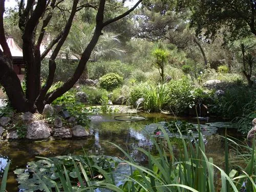 baia-domizia-villaggio-camping-baia-domizia-hetmz
