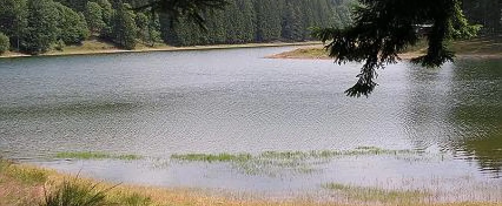 Oberhof Camping