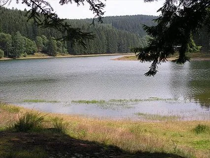 oberhof-camping-frankenhain-wqsv4