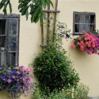 terrassencamping-traisen-traisen-bmsnr