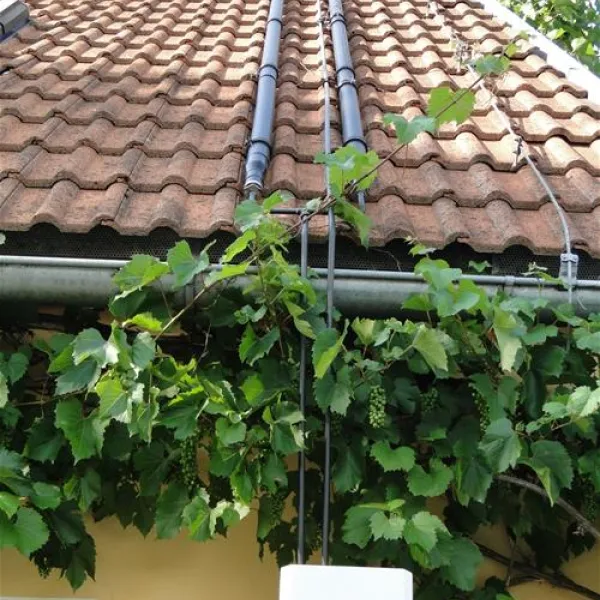terrassencamping-traisen-traisen-noscp