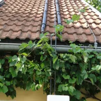 terrassencamping-traisen-traisen-noscp