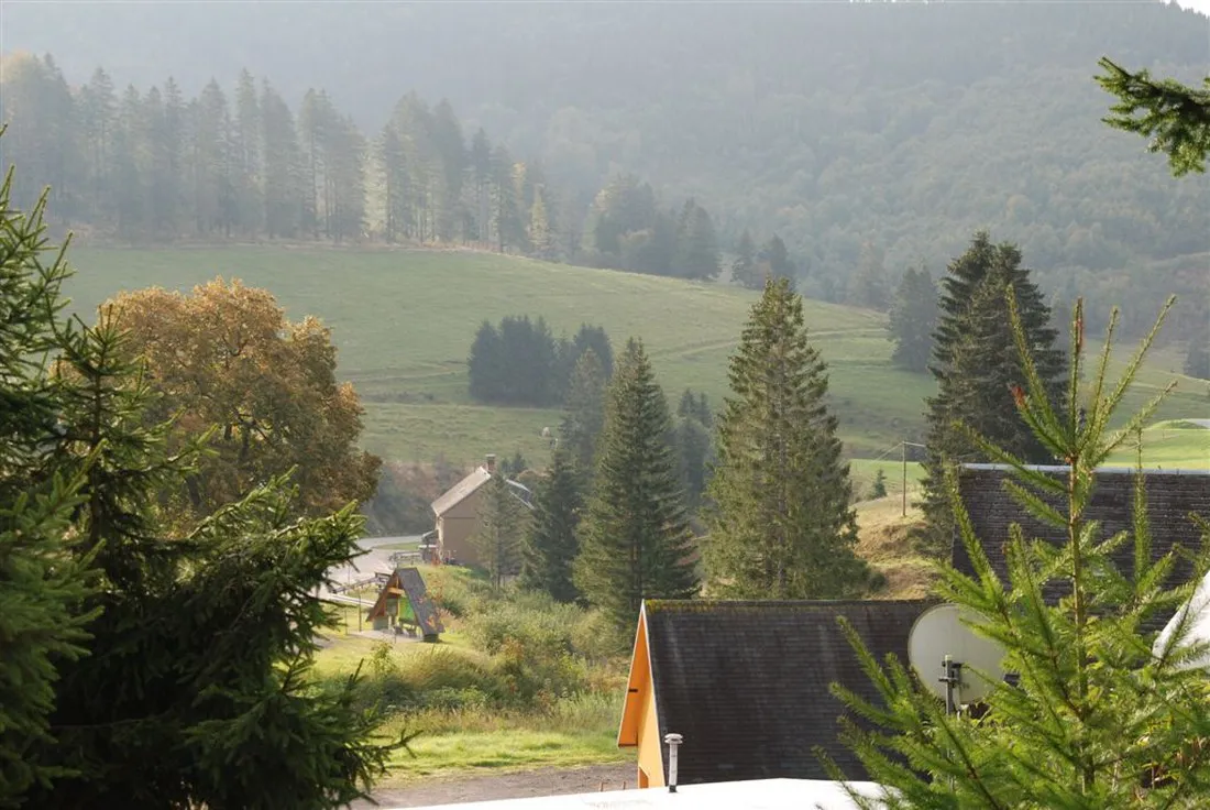 camping-hochschwarzwald-todtnau-561l5