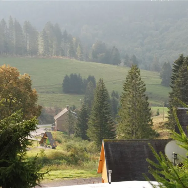 camping-hochschwarzwald-todtnau-561l5