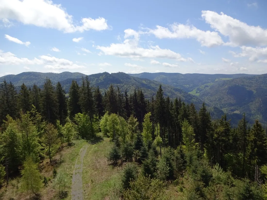 camping-hochschwarzwald-todtnau-gjzuk