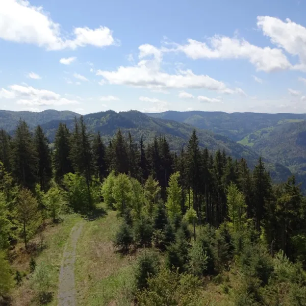 camping-hochschwarzwald-todtnau-gjzuk
