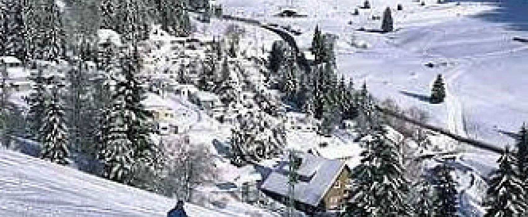 Camping Hochschwarzwald