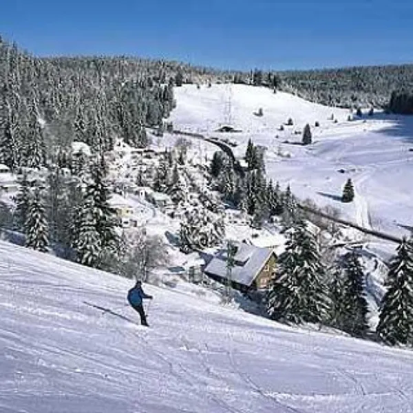 camping-hochschwarzwald-todtnau-pygjl