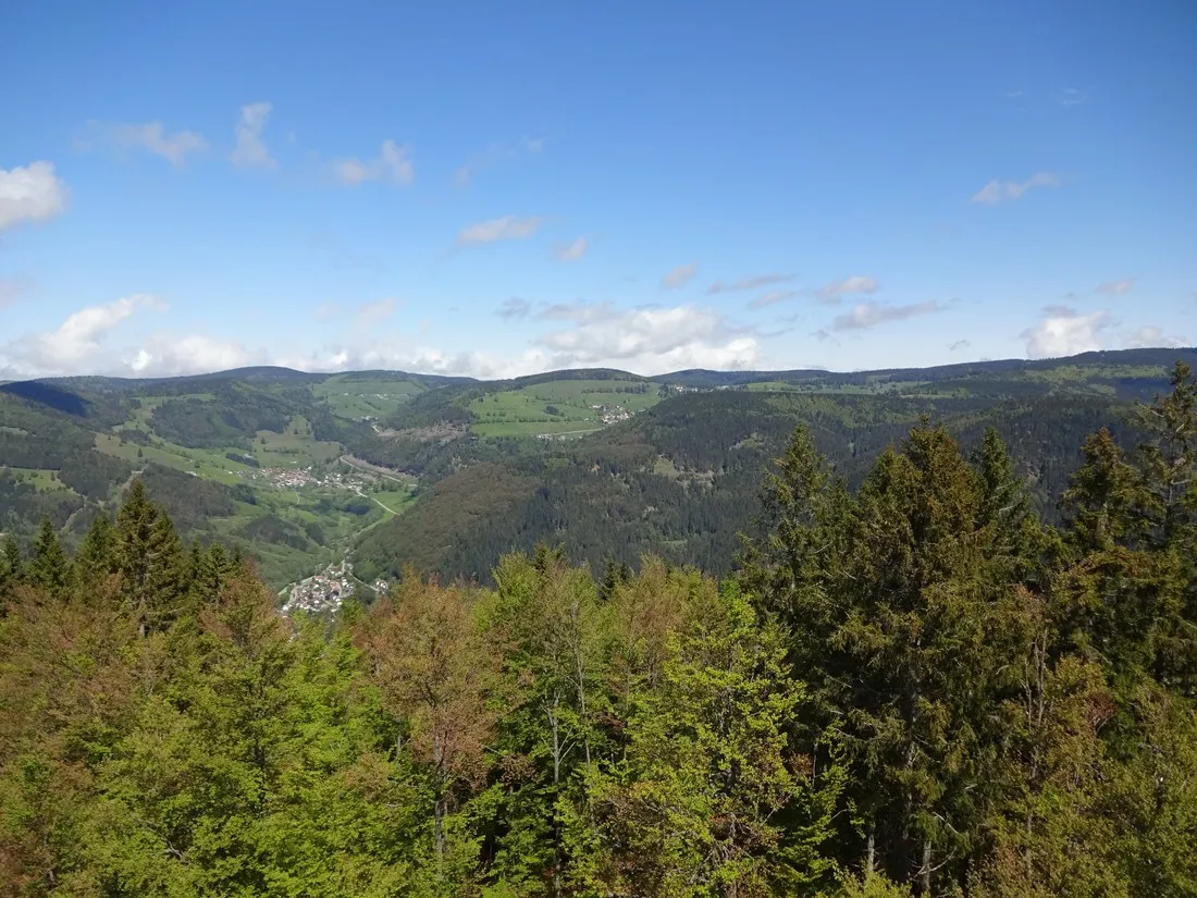 camping-hochschwarzwald-todtnau-wysub