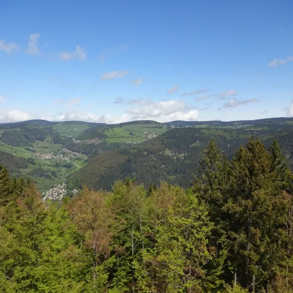 camping-hochschwarzwald-todtnau-wysub