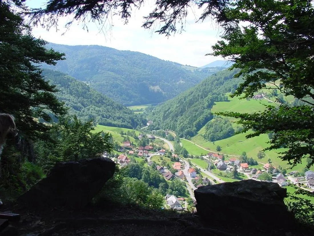 camping-hochschwarzwald-todtnau-x5cag
