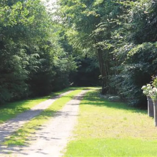 buitengewoon-groenhoff-vriescheloo-x0g5q