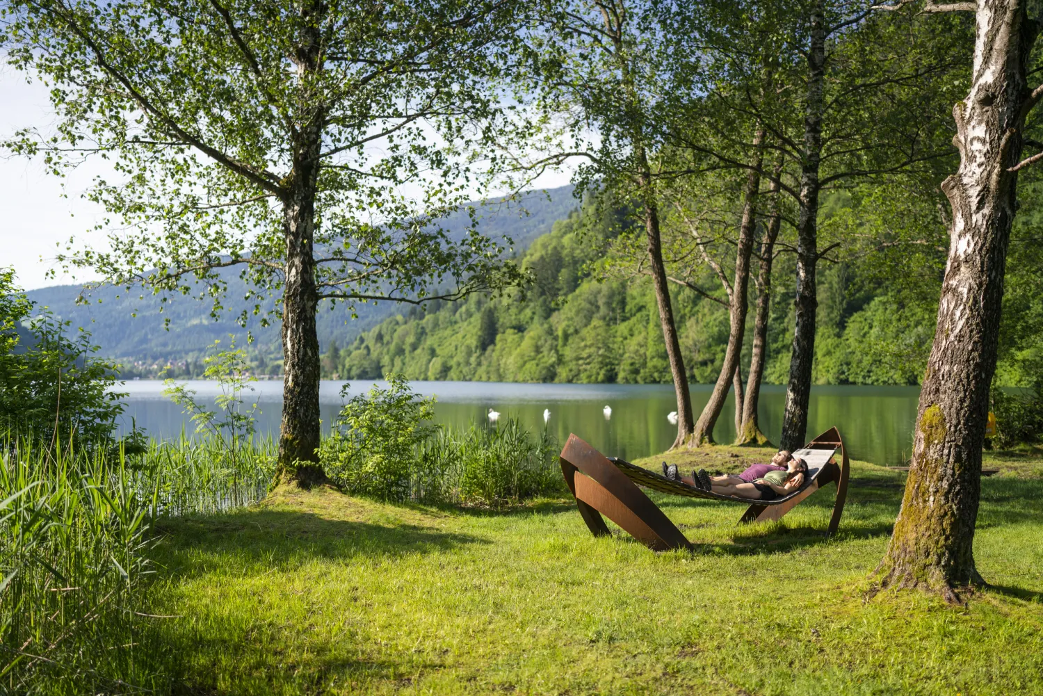 camping-fischerhof-glinzner-afritz-am-see-tqa0e