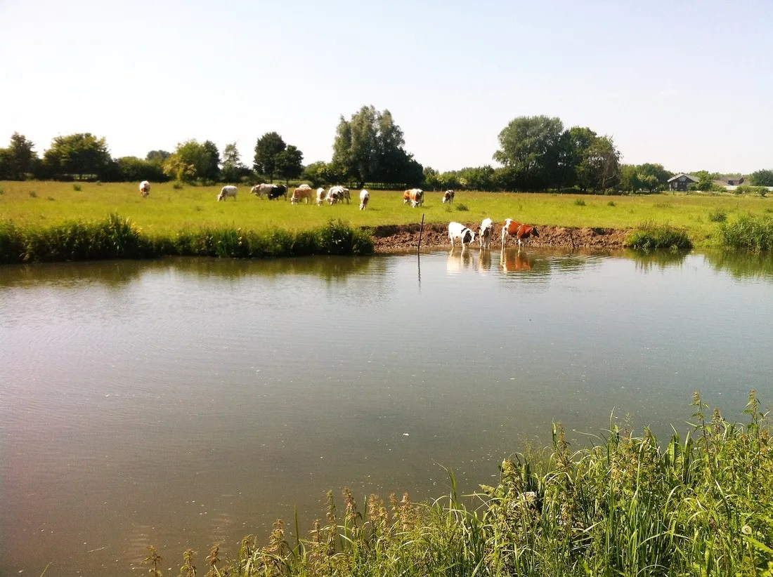 camping-aan-de-linge-tiel-mlzn1