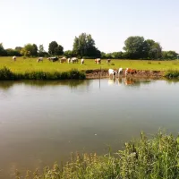 Camping Aan De Linge