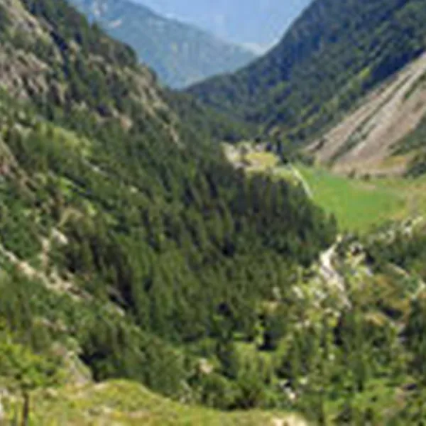 Camping Van d'en Haut