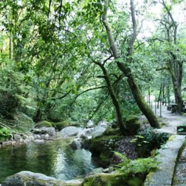 parque-de-campismo-do-vidoeiro-terras-de-bouro-0zdzp
