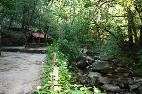 parque-de-campismo-do-vidoeiro-terras-de-bouro-kgr9i