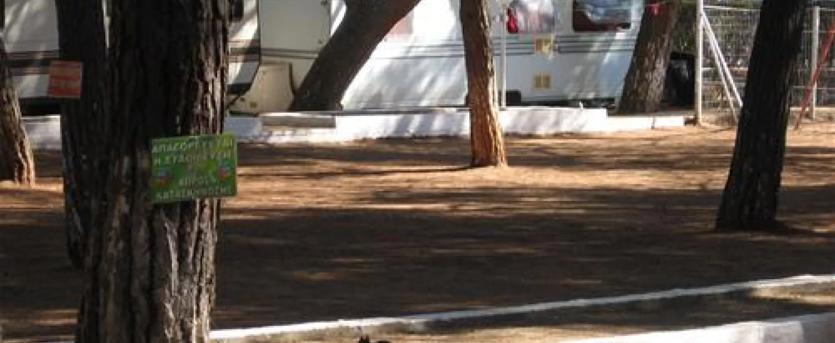 Campsite Olympos Beach