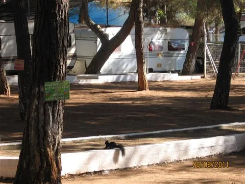 campsite-olympos-beach-litochoron-visvd