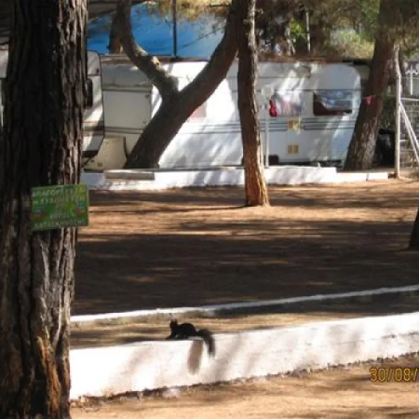 campsite-olympos-beach-litochoron-visvd