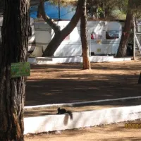 campsite-olympos-beach-litochoron-visvd