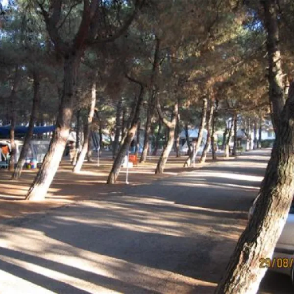 campsite-olympos-beach-litochoron-wm4e8