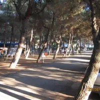 campsite-olympos-beach-litochoron-wm4e8