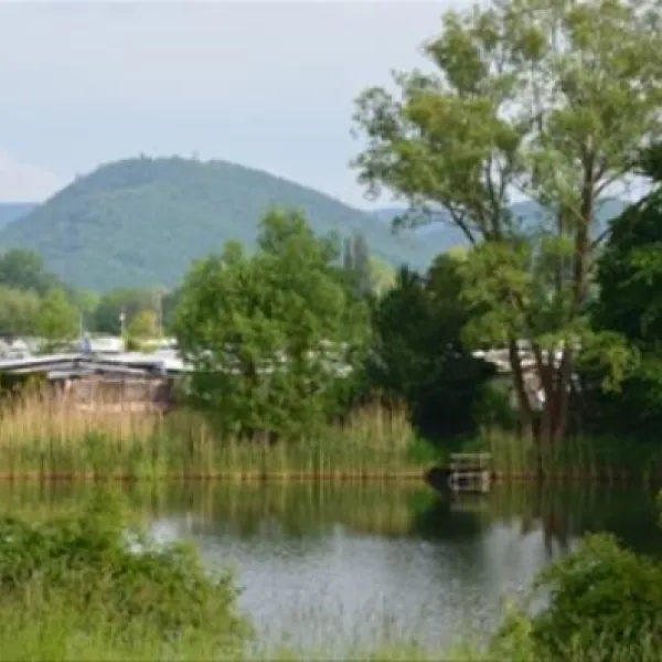 werrameissnercamping-meinhardgrebendorf-arxm0