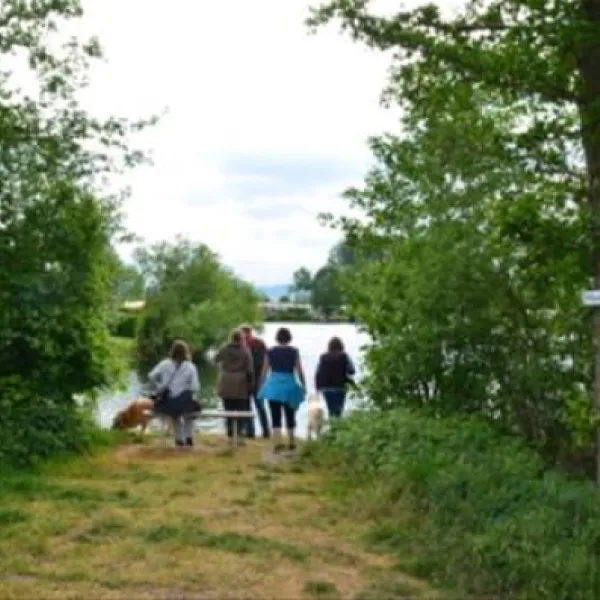 werrameissnercamping-meinhardgrebendorf-seuvd
