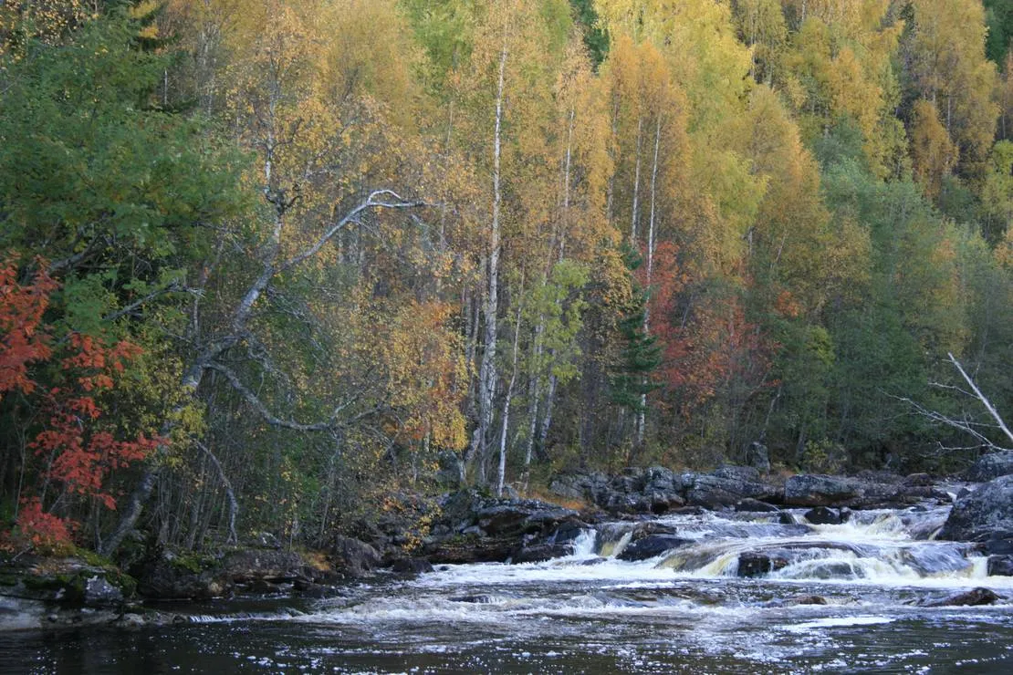 skahjem-camping-veggli-hkexf
