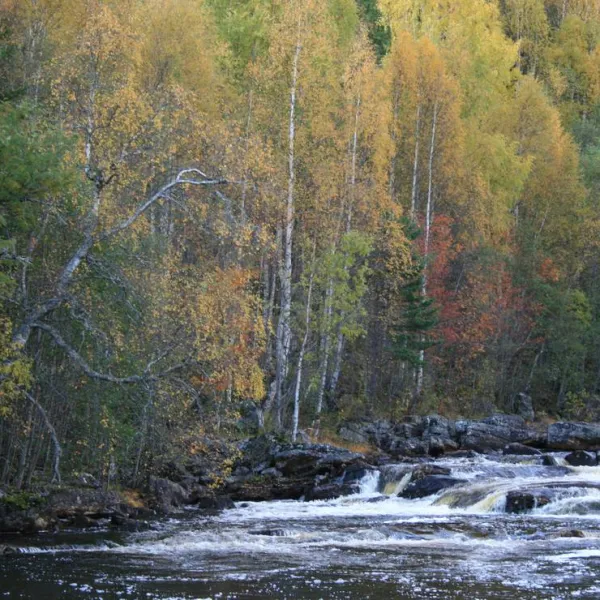 skahjem-camping-veggli-hkexf