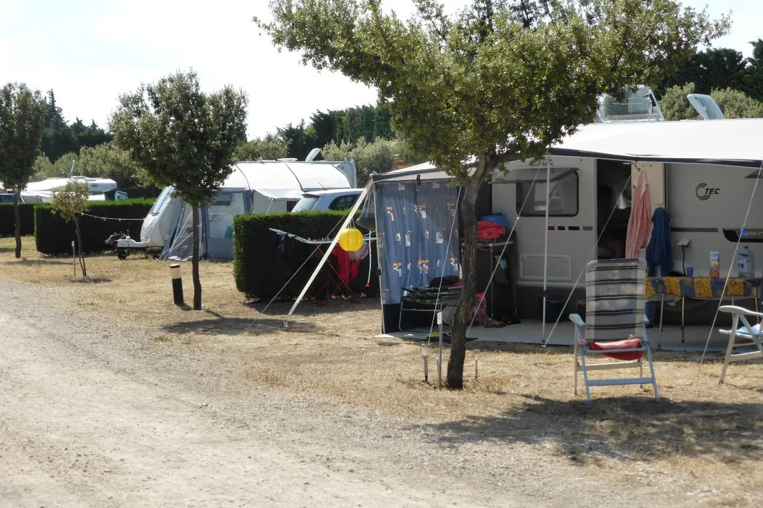 domaine-des-favards-violes-0jvyx