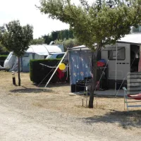 domaine-des-favards-violes-0jvyx